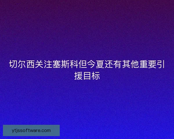 切尔西关注塞斯科但今夏还有其他重要引援目标
